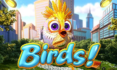 Birds