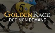 Dog 6 On Demand