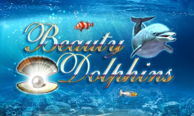 Dolphins Lotto