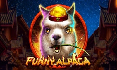 Funny Alpaca