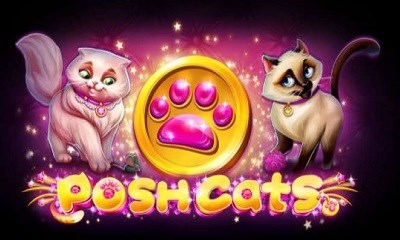 Posh Cats