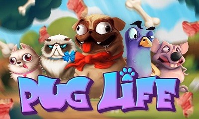 Pug Life