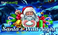Santas Wild Night