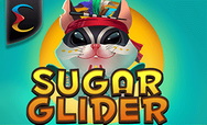 Sugar Glider