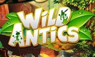 Wild Antics